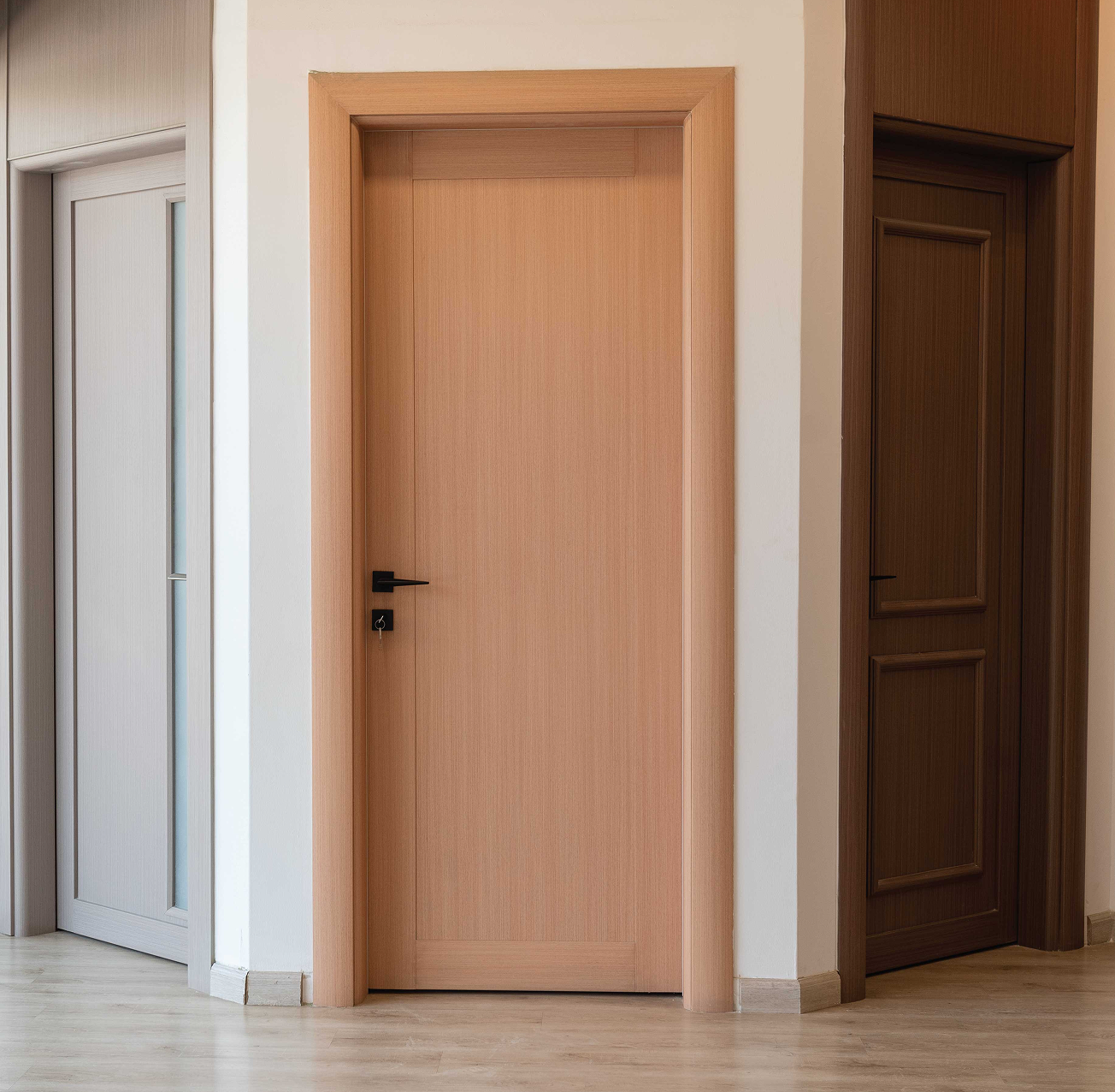Modern Door